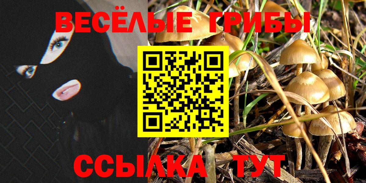 Псилоцибиновые грибы Cubensis Кумертау