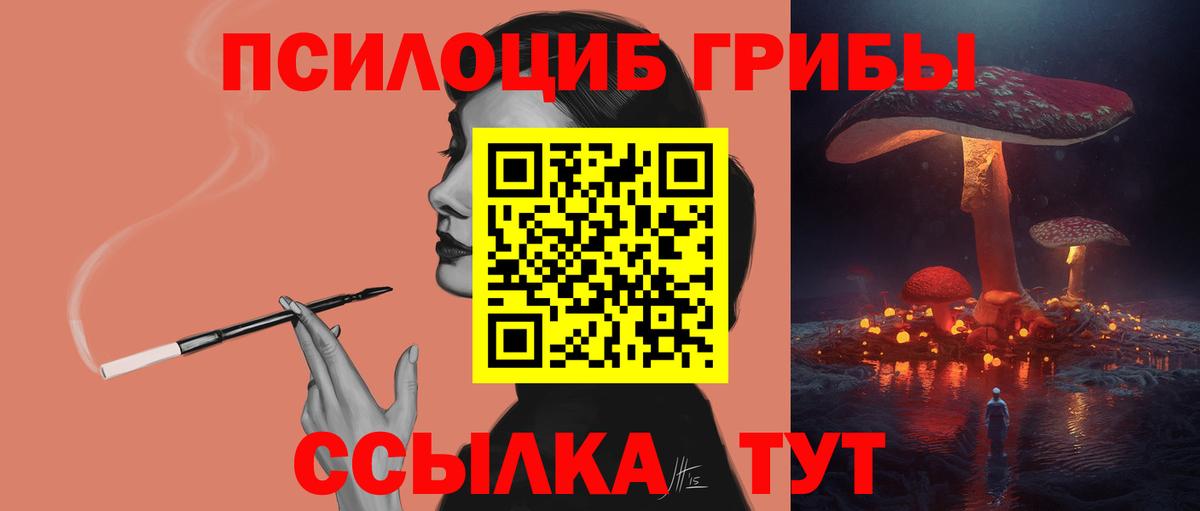 Кумертау  Псилоцибиновые грибы прущие грибы  Вход с VPN 